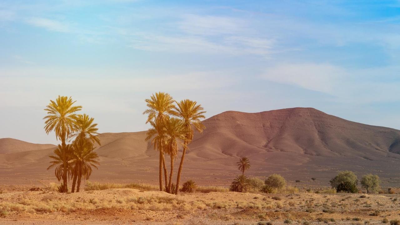 Merzouga Bohemian Camp Exterior foto